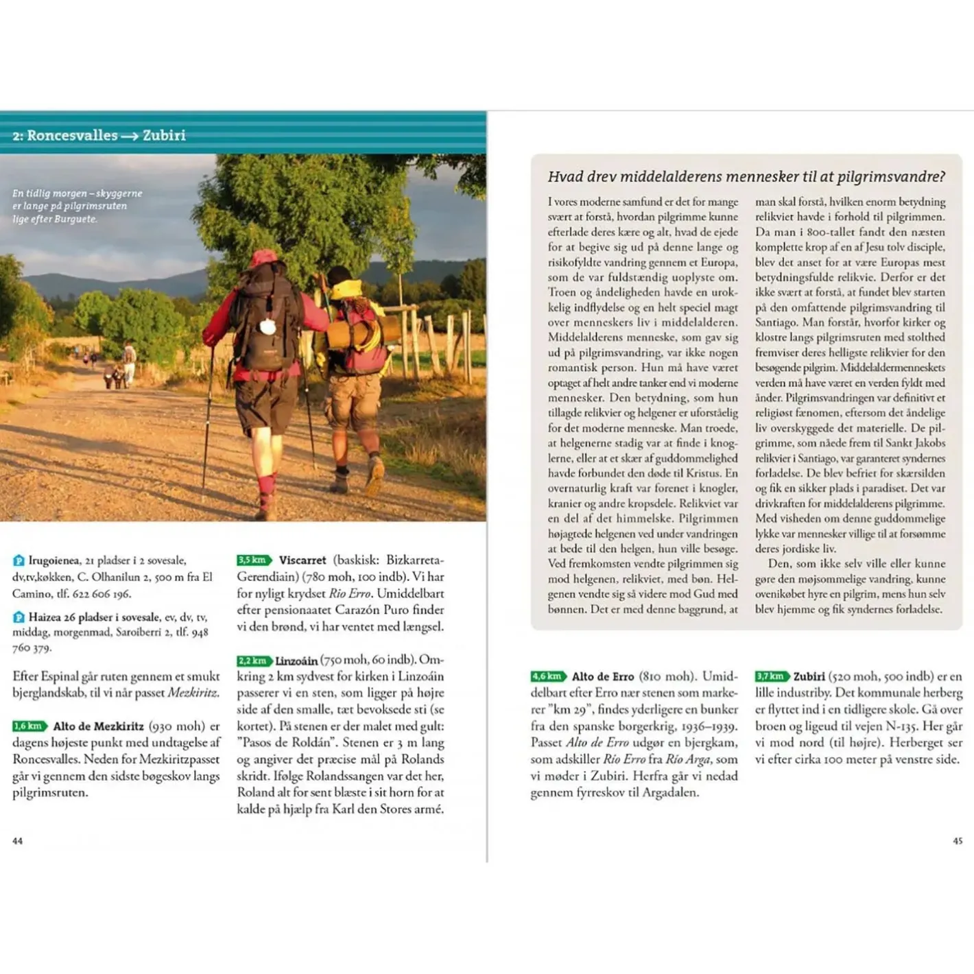Calazo Bøger<Pilgrimsvandring Santiago De Compostela
