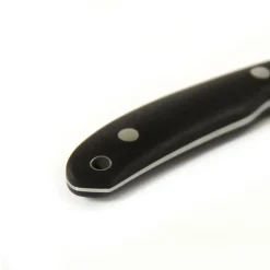 Casström Knive Og Tools<Safari G10 Sort (BLACK/STAINLESS STEEL)