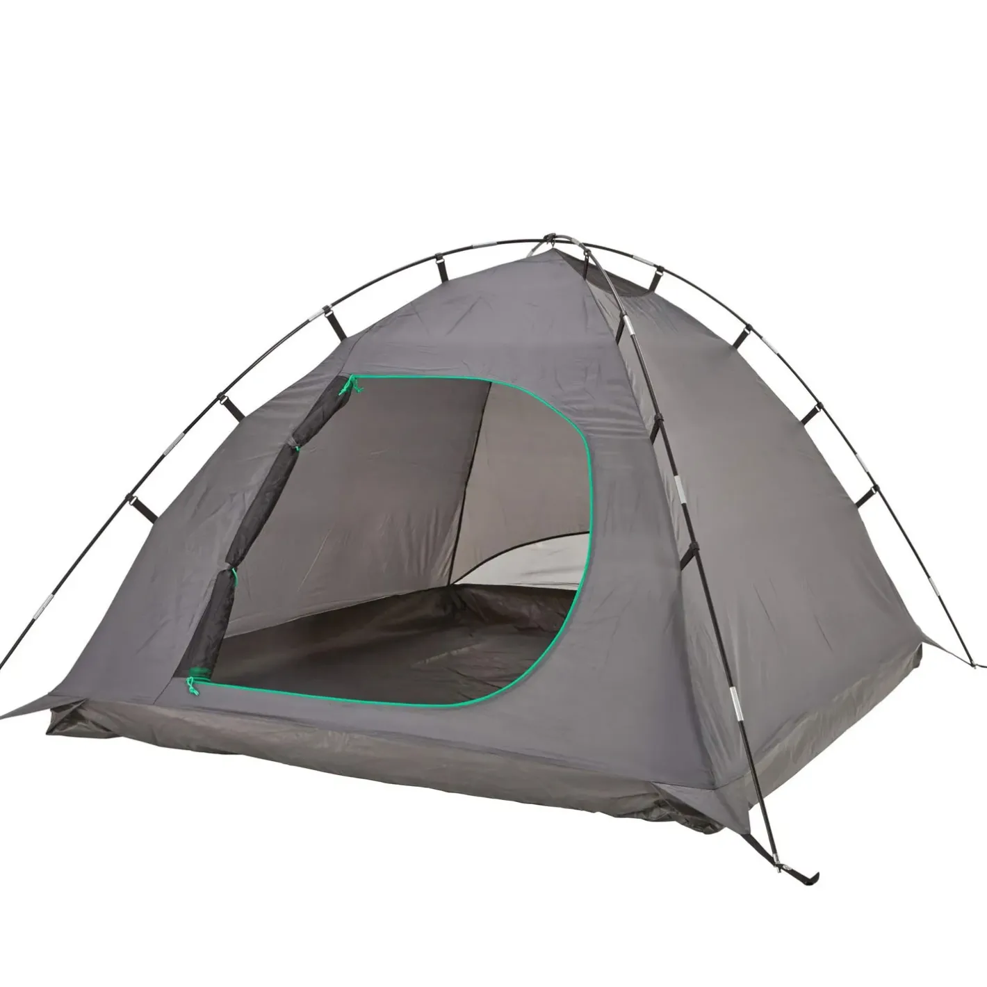 Frilufts 2 Personers Telte<Barry 2 Grøn (SILVER PINE/BLACK)