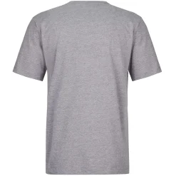 Et Grønnere Valg T-Shirts<Frilufts Mens Reykholt Printed T-shirt Grå (SMOKED PEARL BIKE CLASSIC)
