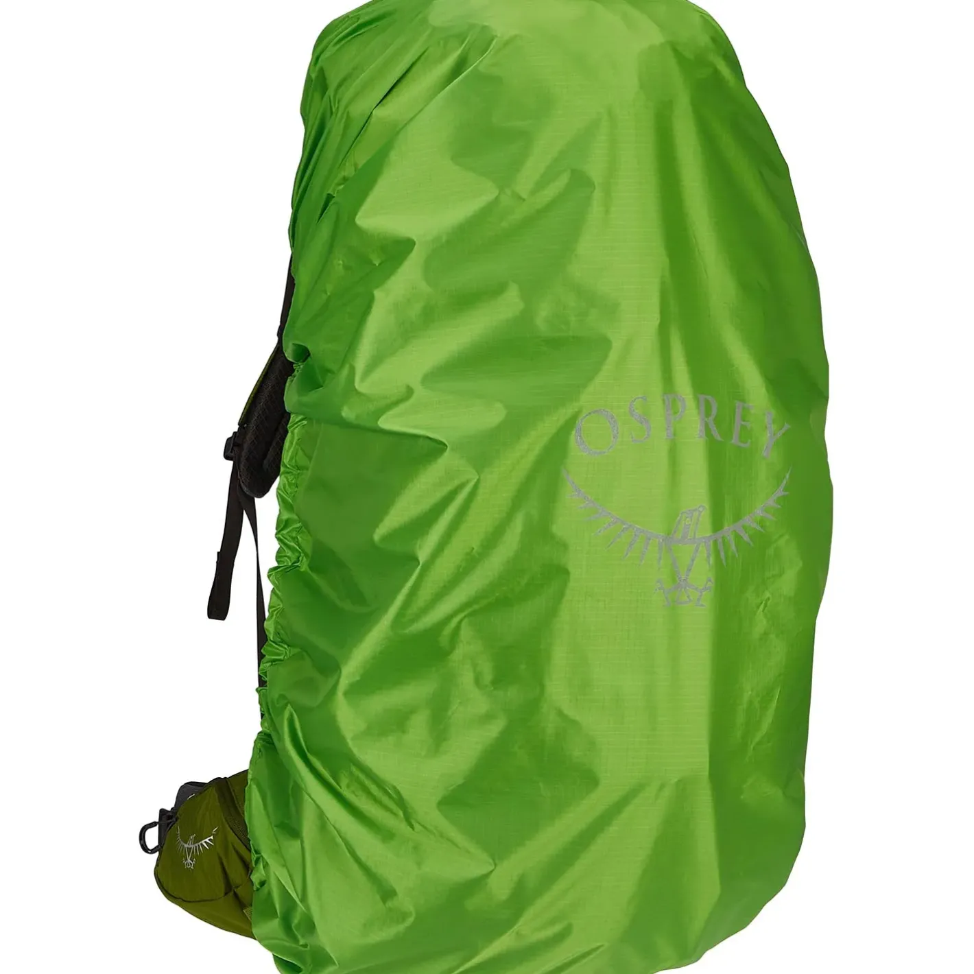 Et Grønnere Valg Vandrerygsække<Osprey Aether 65 Grøn (GARLIC MUSTARD GREEN)