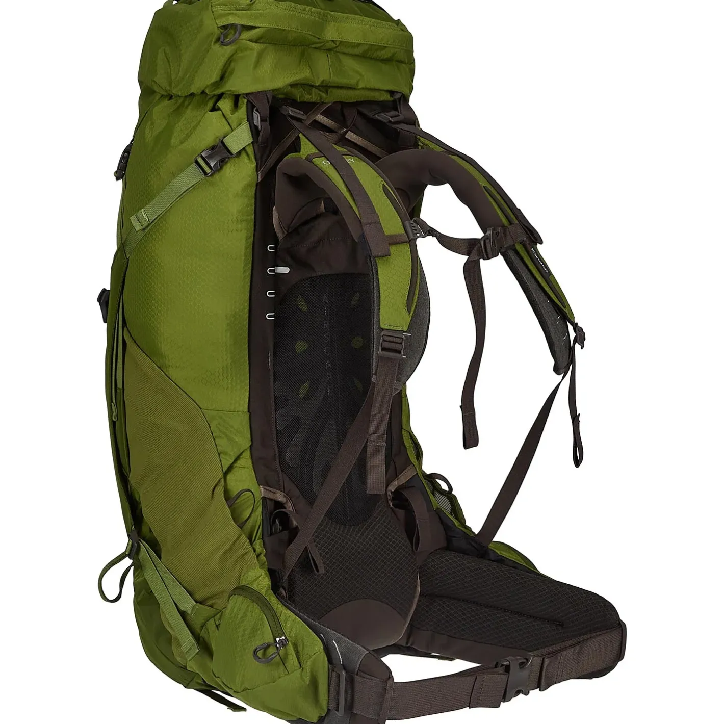 Et Grønnere Valg Vandrerygsække<Osprey Aether 65 Grøn (GARLIC MUSTARD GREEN)