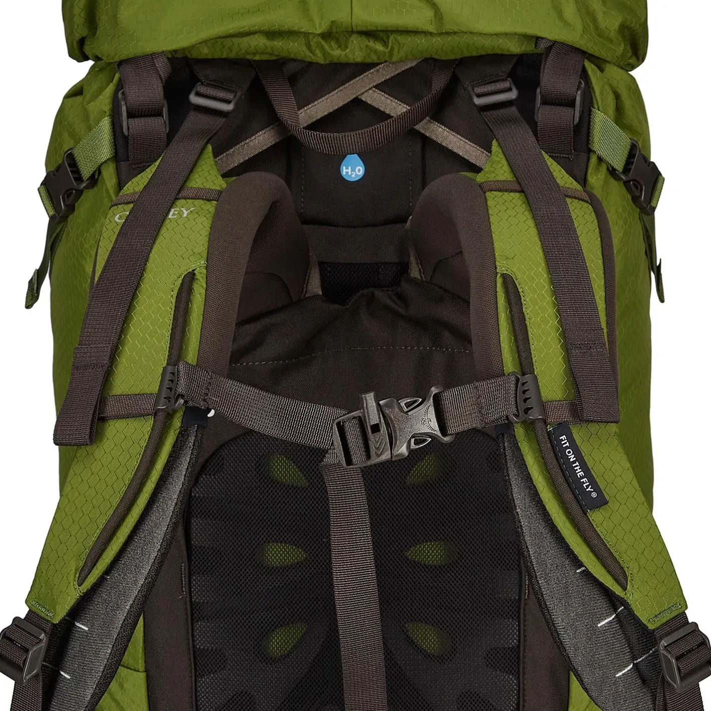 Et Grønnere Valg Vandrerygsække<Osprey Aether 65 Grøn (GARLIC MUSTARD GREEN)