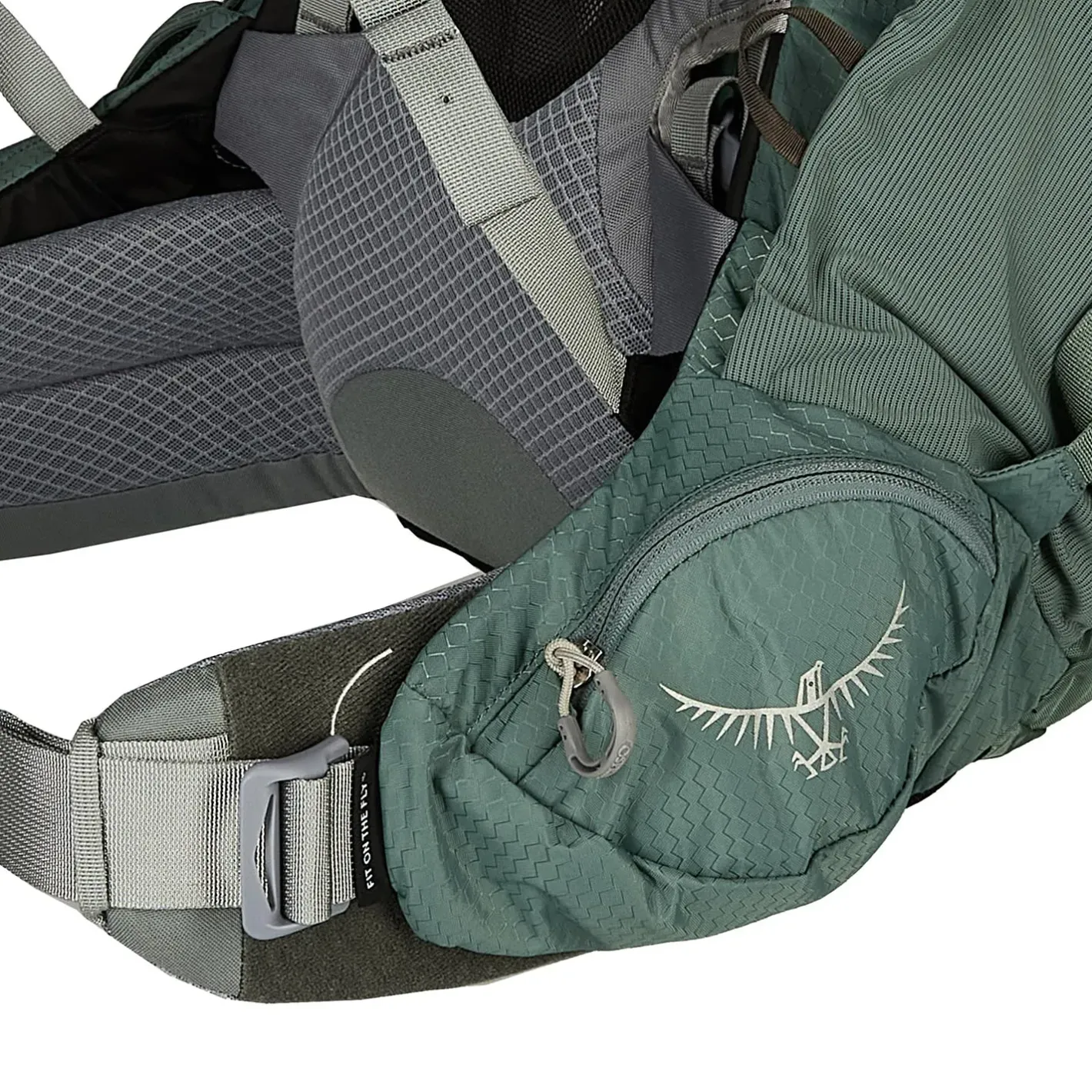 Osprey Vandrerygsække<Womens Ariel 55 Grøn (KOSERET GREEN)