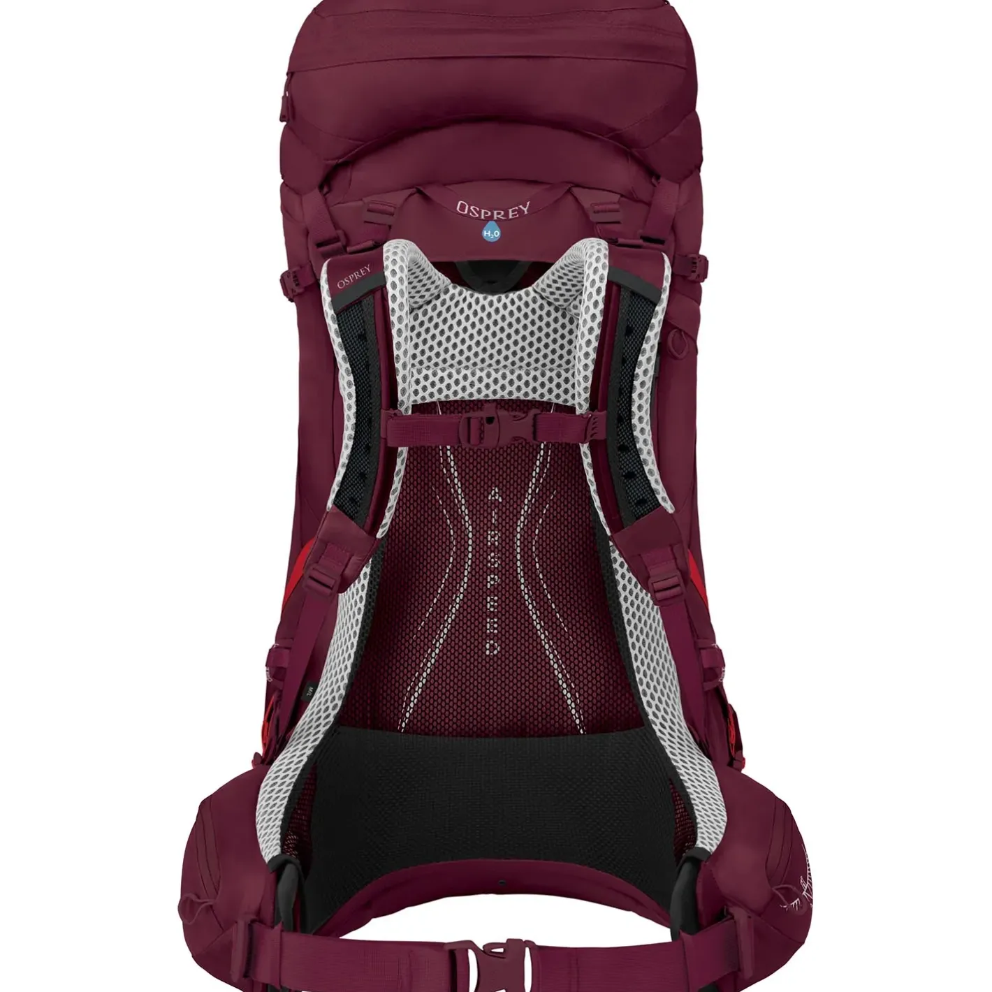 Et Grønnere Valg Vandrerygsække<Osprey Womens Aura AG LT 50 Lilla (ANTIDOTE PURPLE)