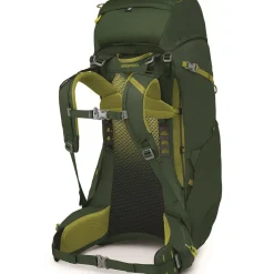 Osprey Vandrerygsække<Youths Ace 50 Grøn (GREEN CANOPY/MATCHA GREEN)