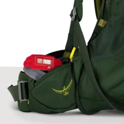 Osprey Vandrerygsække<Youths Ace 50 Grøn (GREEN CANOPY/MATCHA GREEN)