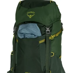 Osprey Vandrerygsække<Youths Ace 50 Grøn (GREEN CANOPY/MATCHA GREEN)