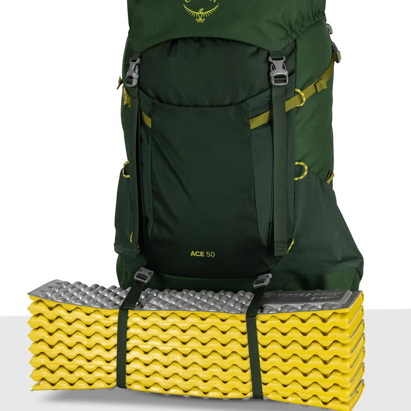 Osprey Vandrerygsække<Youths Ace 50 Grøn (GREEN CANOPY/MATCHA GREEN)