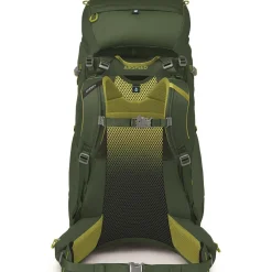 Osprey Vandrerygsække<Youths Ace 50 Grøn (GREEN CANOPY/MATCHA GREEN)