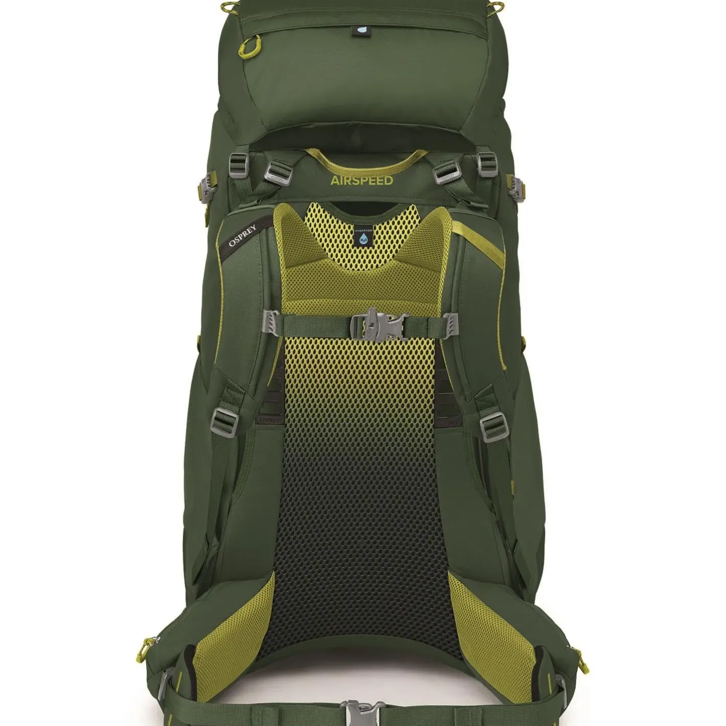 Osprey Vandrerygsække<Youths Ace 50 Grøn (GREEN CANOPY/MATCHA GREEN)